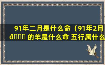 91年二月是什么命（91年2月 💐 的羊是什么命 五行属什么）